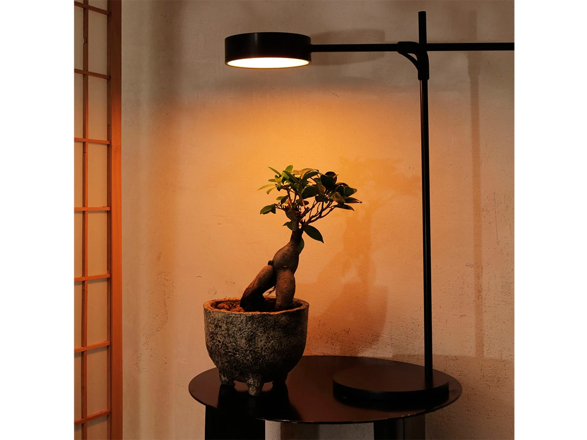 Настольная лампа GOGROW Table Lamp 889018  - фото 3