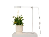 Настольная лампа и кашпо GOGROW Table Lamp 889021