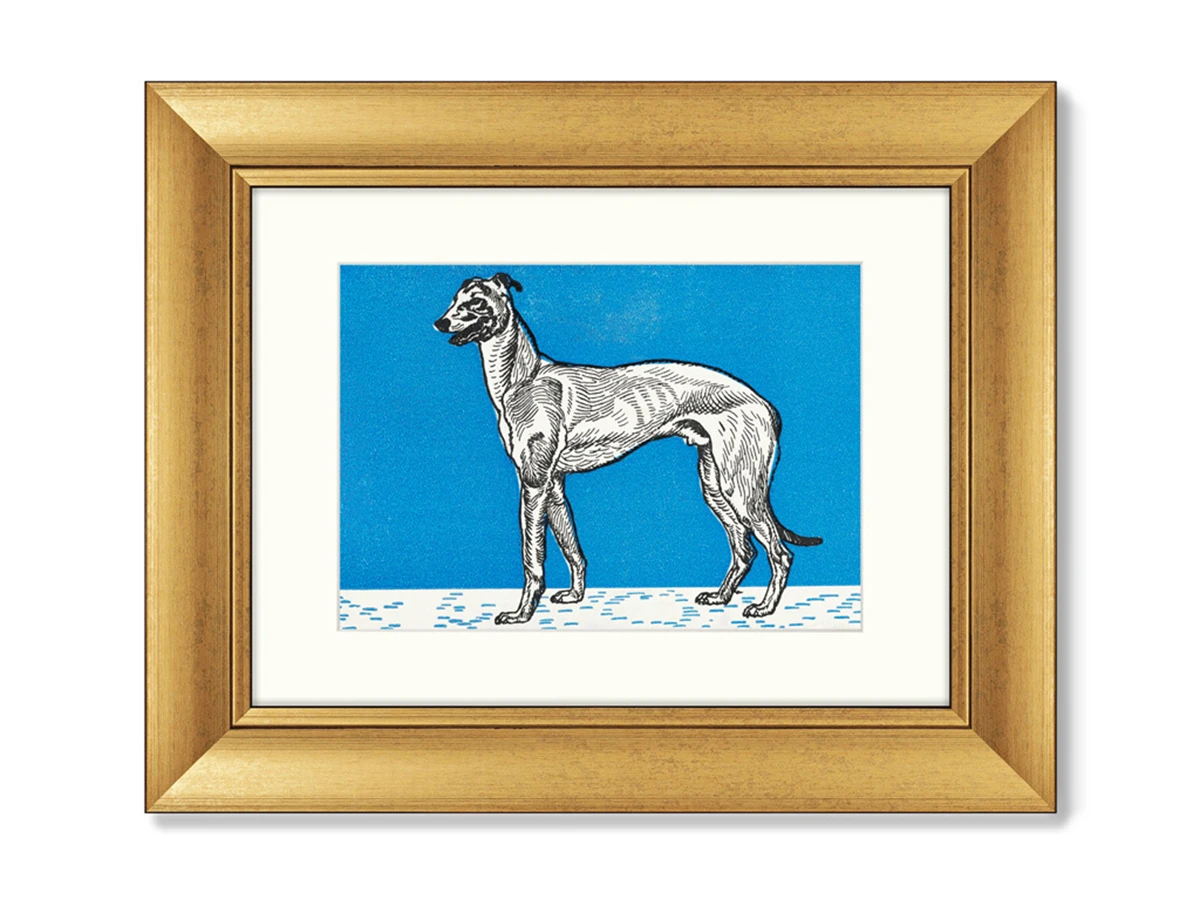 Набор из 2-х репродукций картин в раме Greyhound & Pitbull Terrier, 1912г. 635596  - фото 2