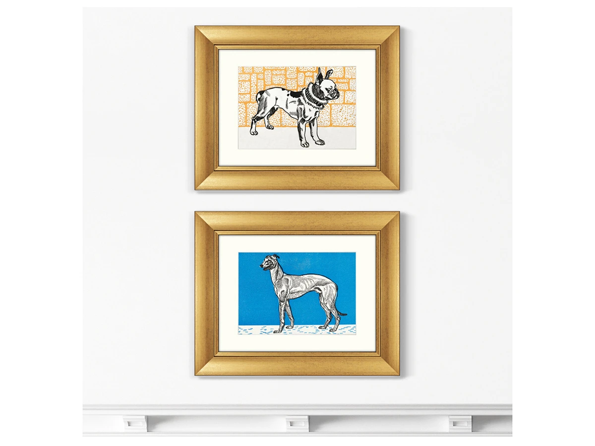 Набор из 2-х репродукций картин в раме Greyhound & Pitbull Terrier, 1912г. 635596  - фото 3