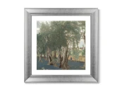 Репродукция картины в раме Olive Grove, 1914г.