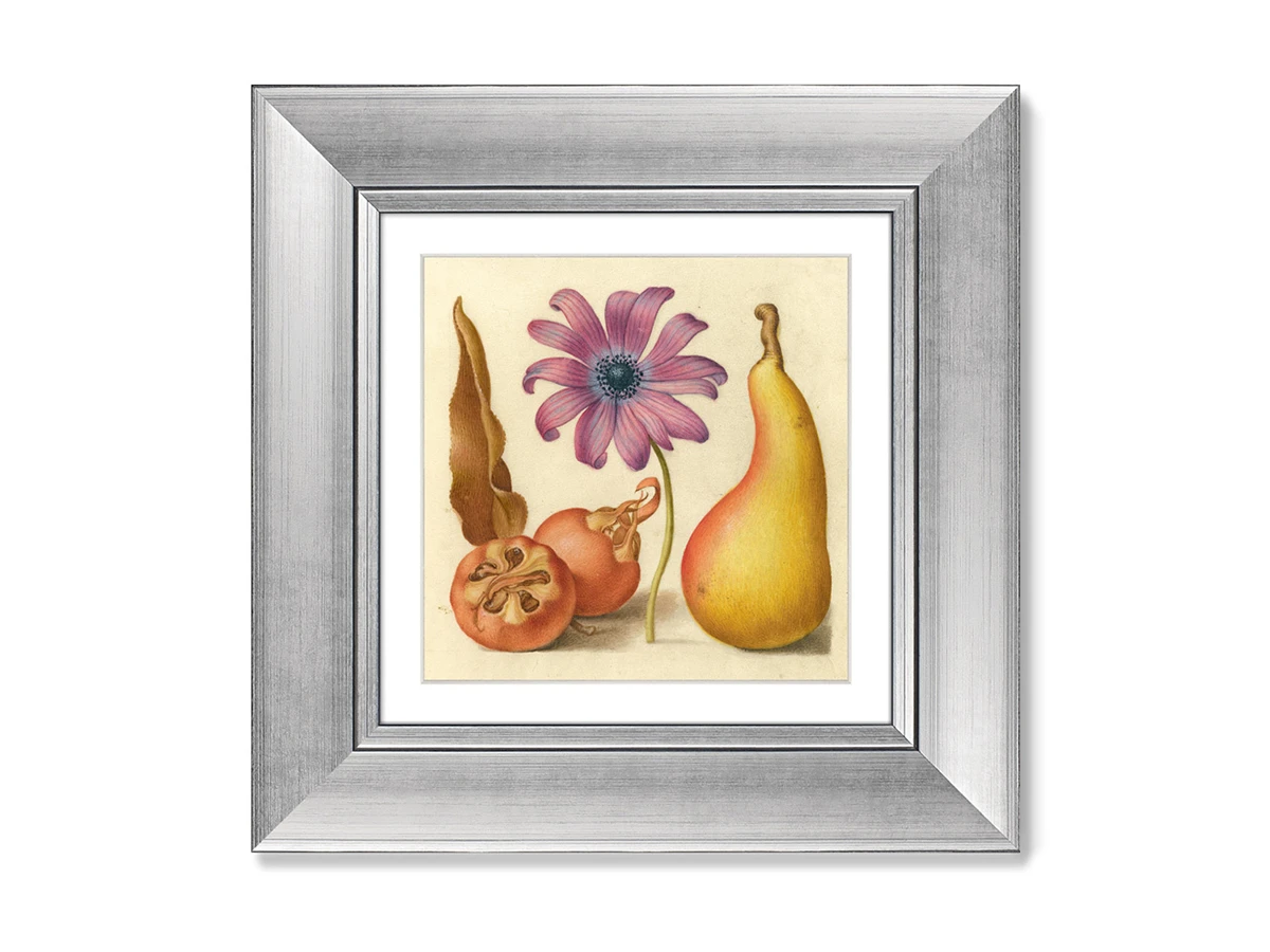 Набор из 2-х репродукций картин в раме English Walnut and Sweet Cherry, 1561г. 635628  - фото 1