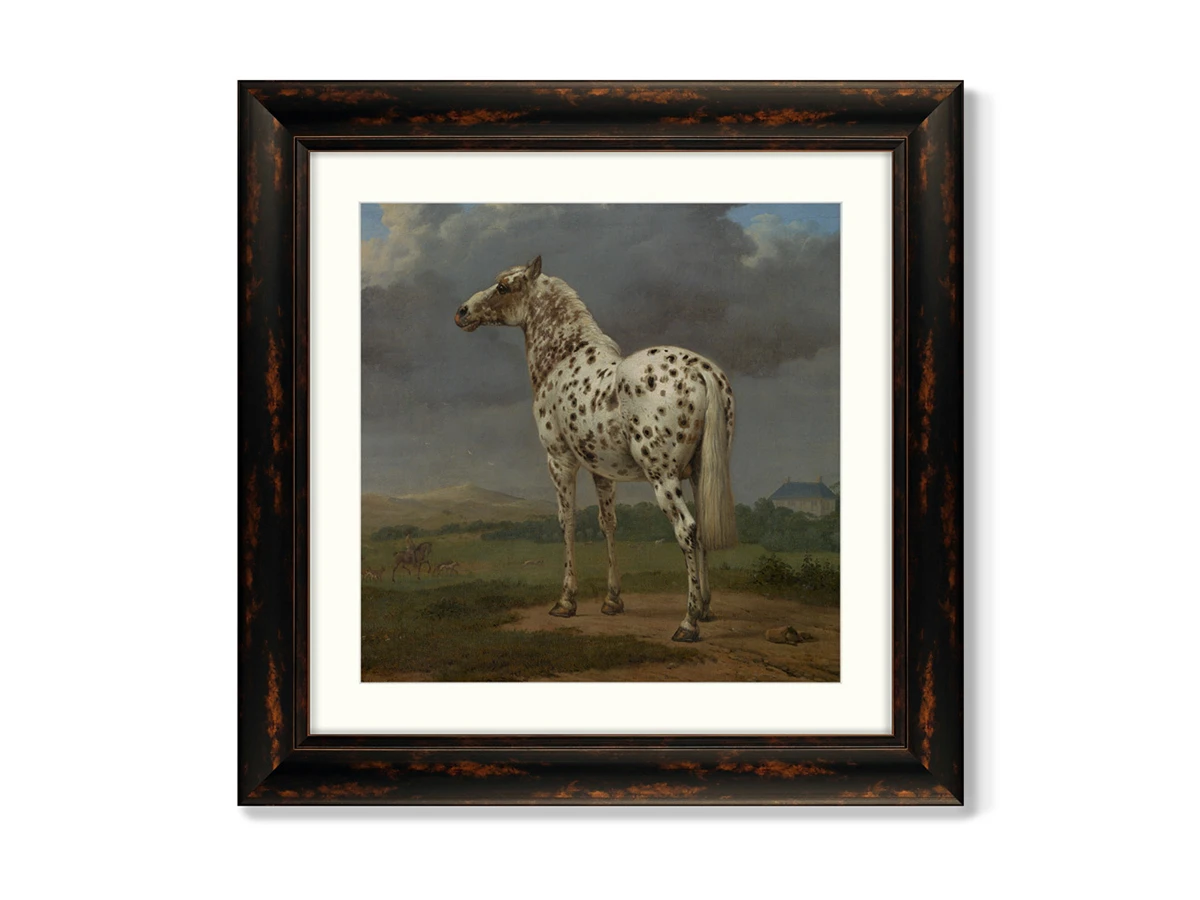 Репродукция картины в раме The Piebald Horse, 1654г. 635631  - фото 1