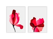 Набор постеров Цветы №26