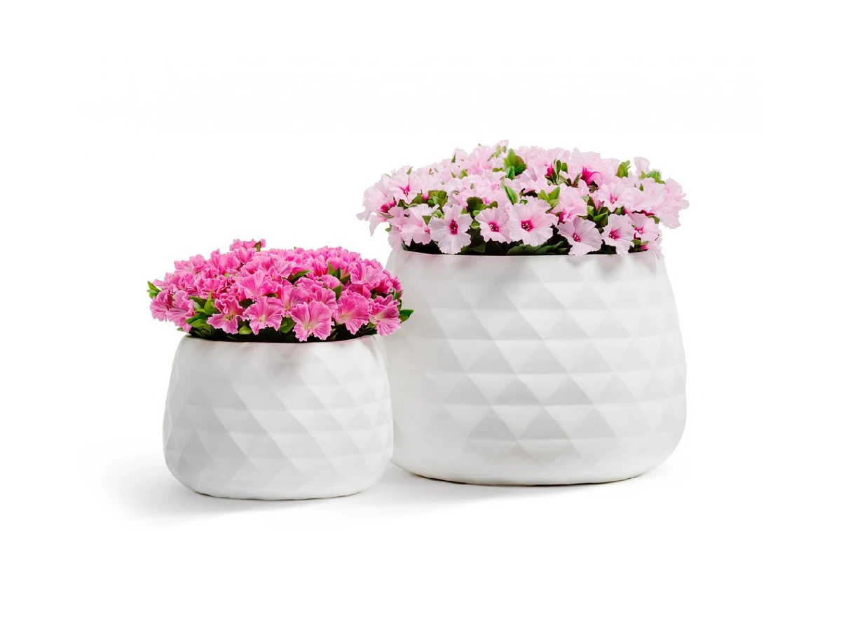 Сет № 6 890483  - фото 1