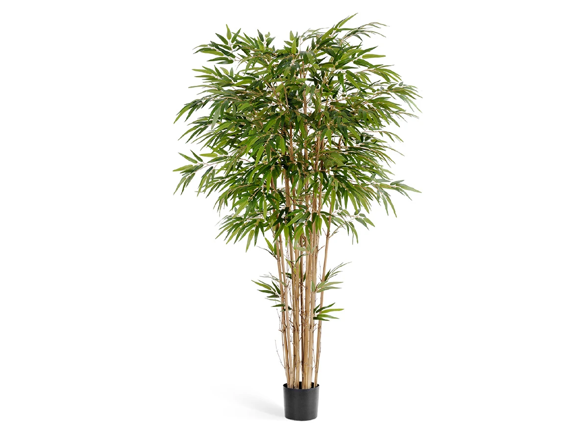 Бамбук натуральный 150 см 2/2 891209  - фото 1