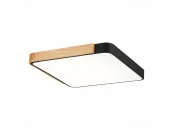 Светильник потолочный FESTA