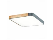 Светильник потолочный FESTA