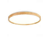 Светильник потолочный DELIA