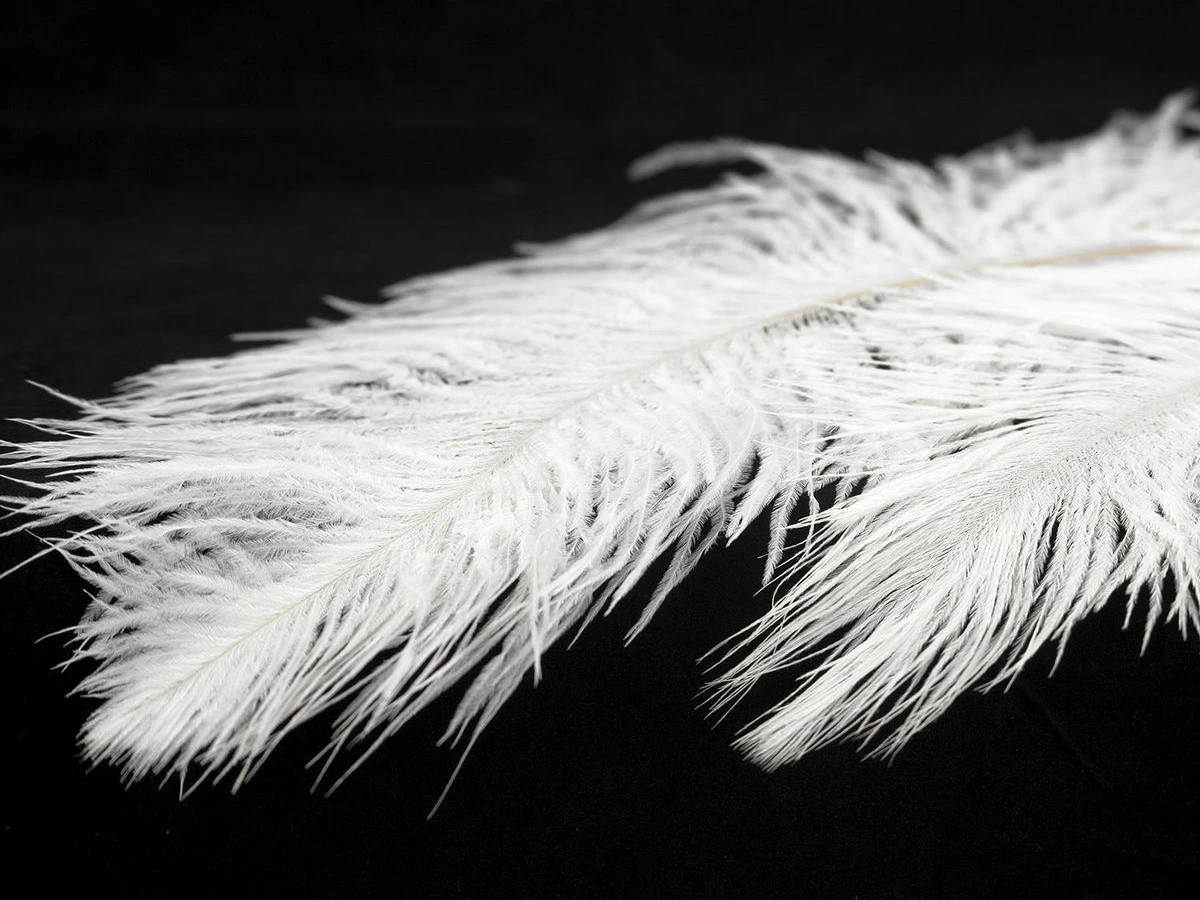 Подвесной светильник Lussole 900819  - фото 4