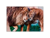 Картина на дереве Львиная любовь 80х120 см
