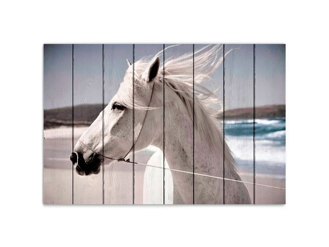 Картина на дереве Лошадь на побережье 40х60 см 637936  - фото 1