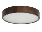 Потолочный светодиодный светильник Jasmin