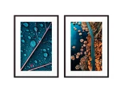 Набор постеров Природа №101