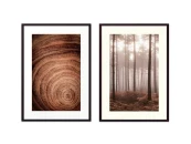 Набор постеров Природа №121