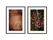 Набор постеров Природа №122