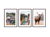 Набор постеров Природа №142