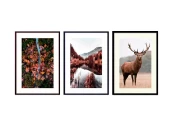 Набор постеров Природа №145