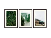 Набор постеров Природа №155