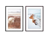 Набор постеров Природа №70