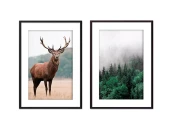 Набор постеров Природа №72