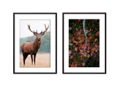 Набор постеров Природа №92