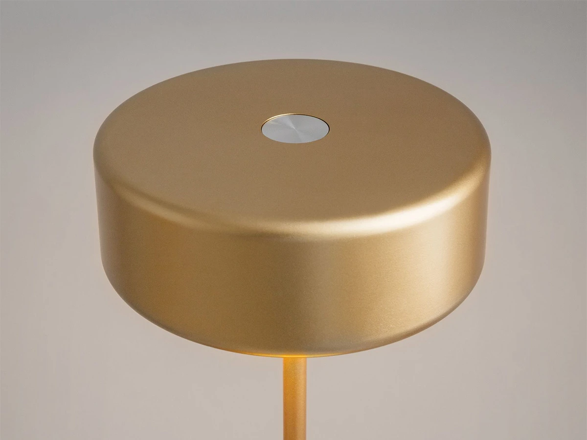 Аккумуляторный светильник AI Collaboration 916833  - фото 3