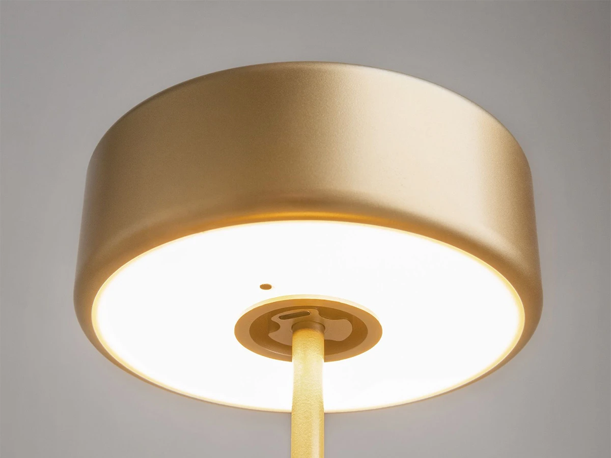 Аккумуляторный светильник AI Collaboration 916833