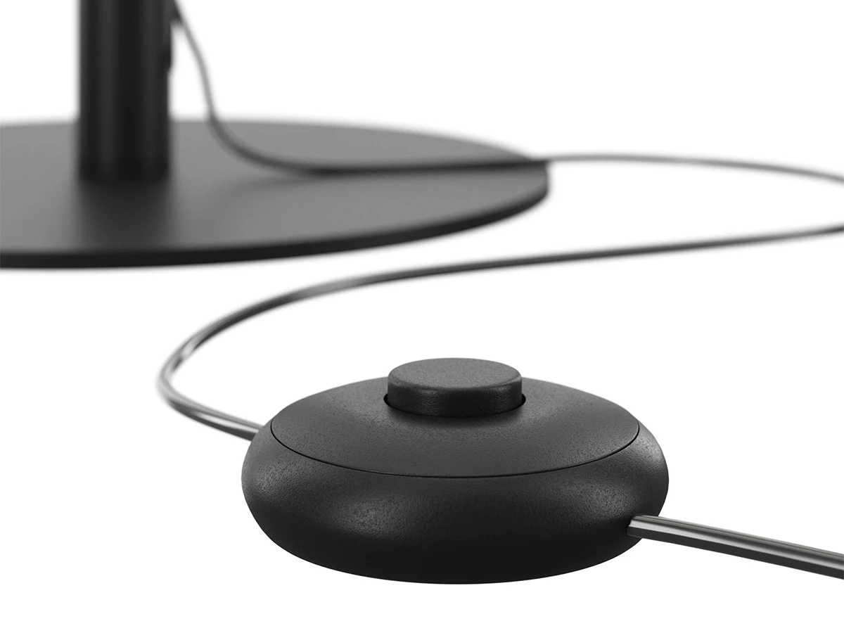 Напольный светильник (торшер) Ray 917199