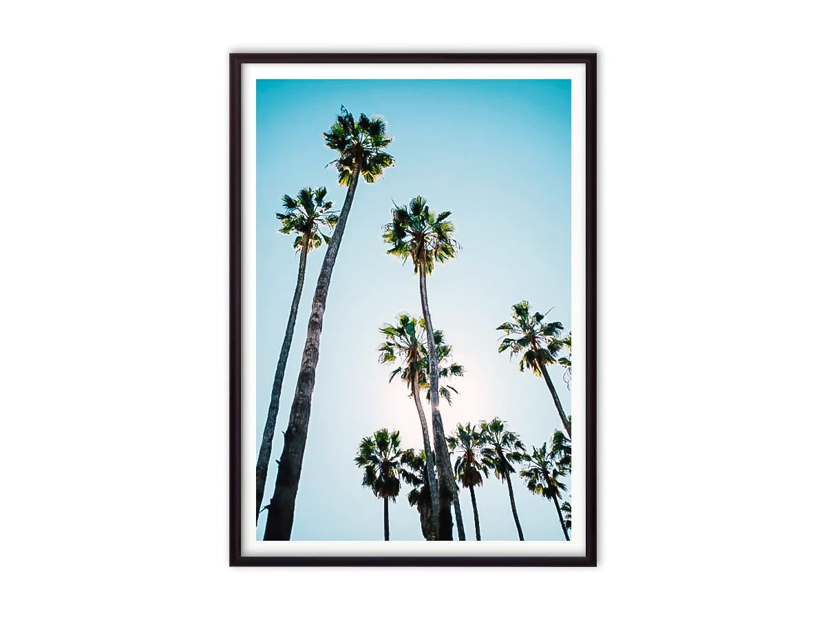 Набор постеров Серфинг №4 639112  - фото 3