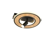 Потолочный светильник Olika