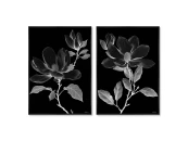 Набор из 2-х репродукций картин на холсте Night bloom, 2024г.