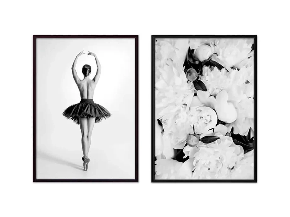 Набор постеров Балет №17 639449