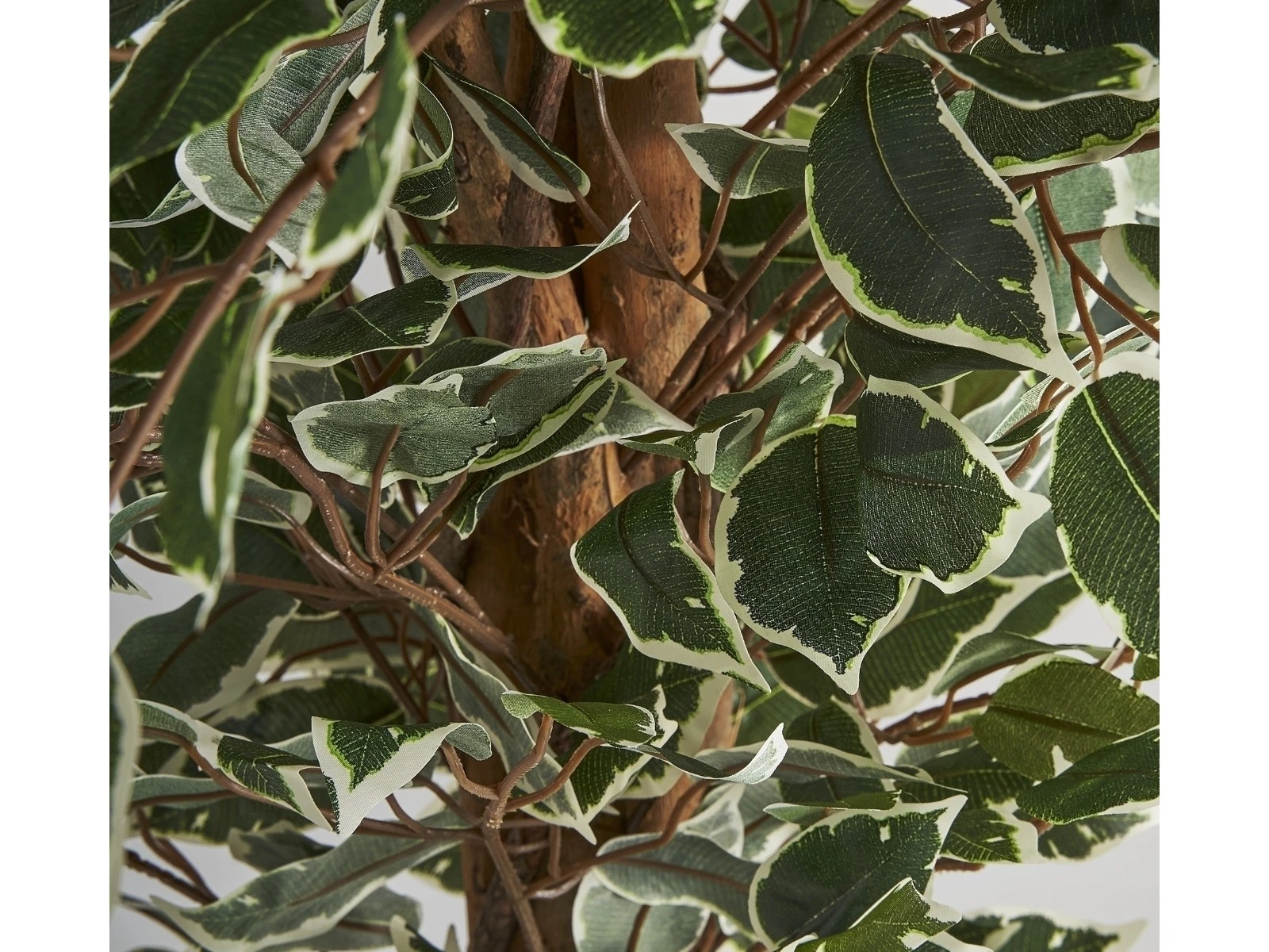 Искусственное растение FICUS 921772  - фото 2