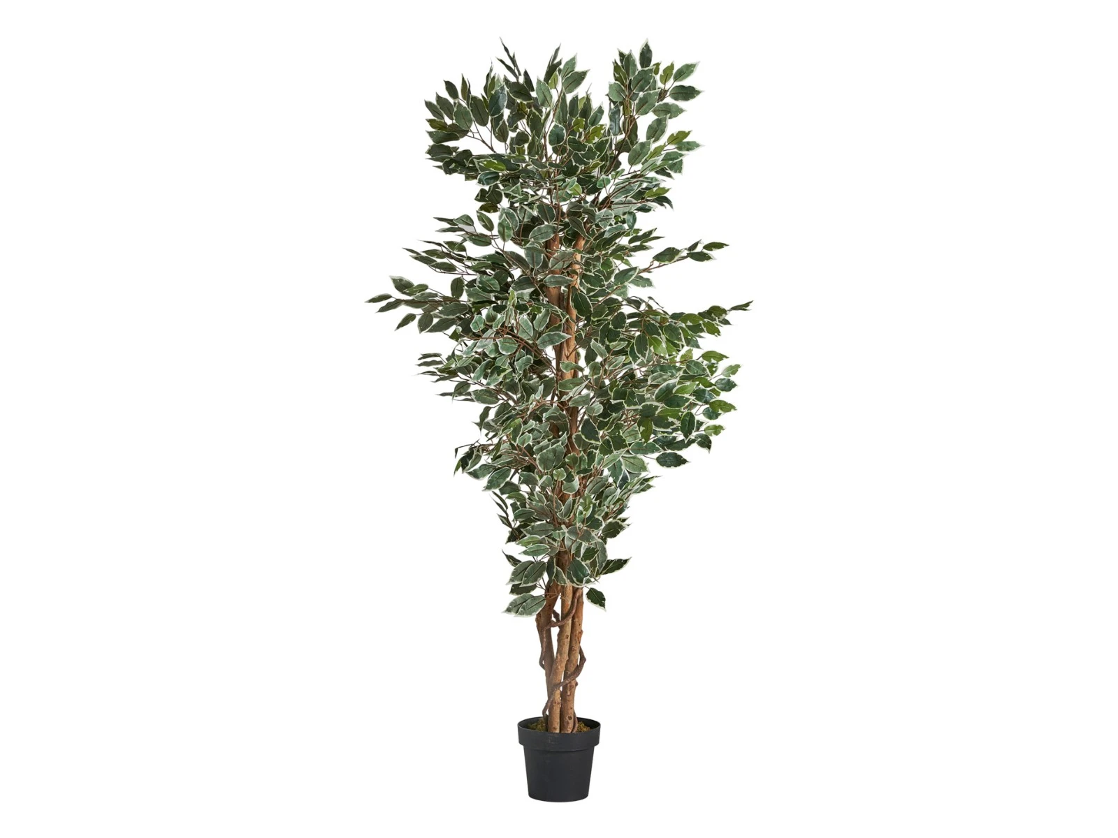 Искусственное растение FICUS 921772  - фото 1