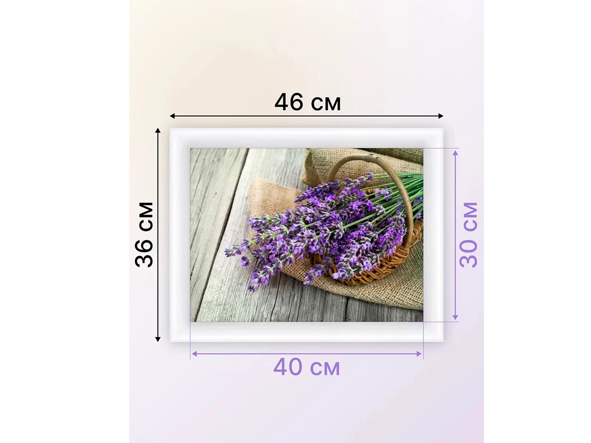 Картина Лаванда 923392  - фото 3