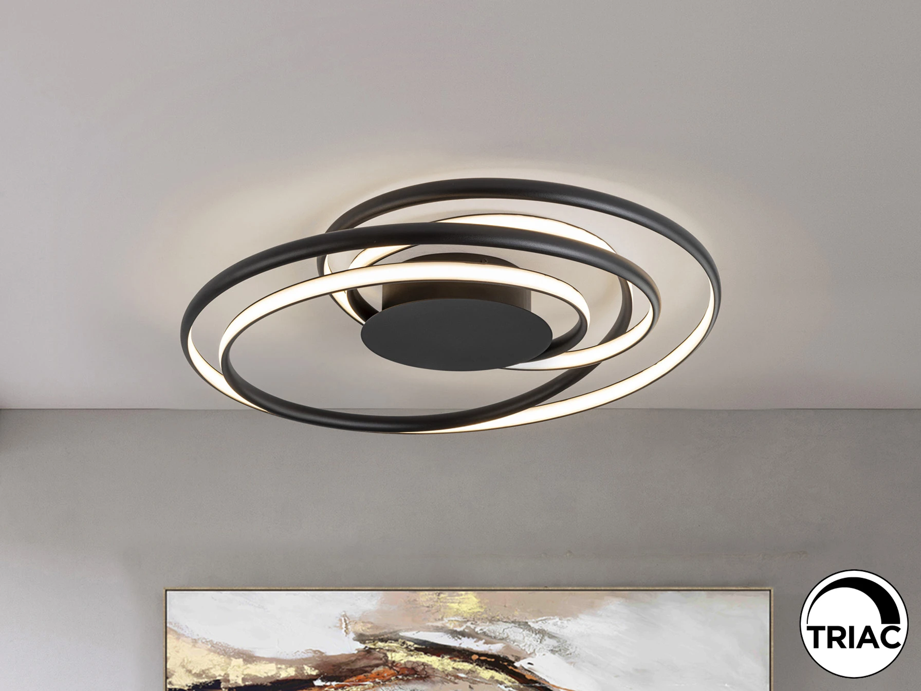 Потолочный светильник Danza 923411