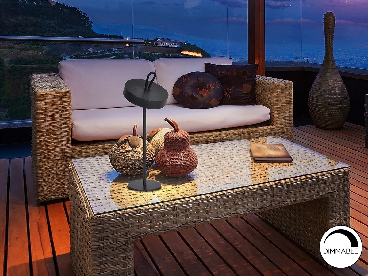 Настольная лампа Gong 923483  - фото 9