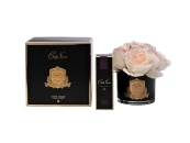 Диффузор Five Rose Blush, спрей Rose oud 10мл в уп.