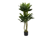 Папоротник гнездовой в горшке h150см