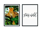 Набор постеров Джунгли №1