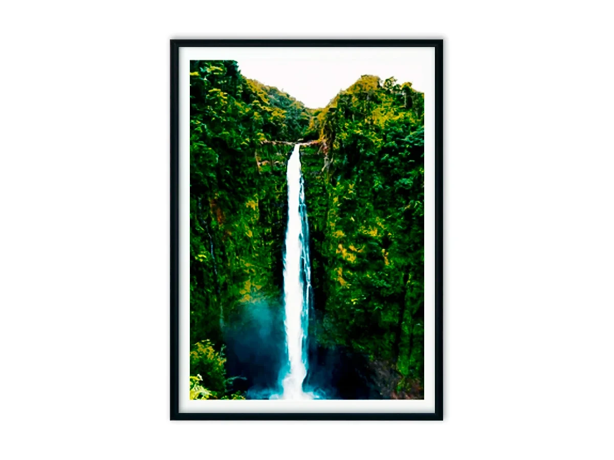 Набор постеров Джунгли №3 640105