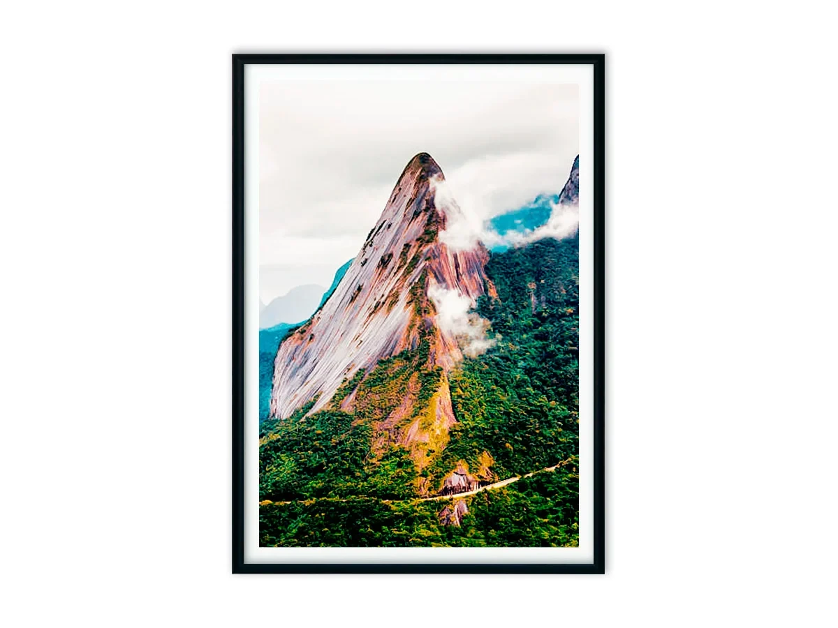 Набор постеров Джунгли №3 640105  - фото 3