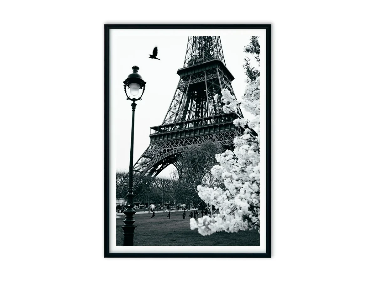 Набор постеров Коко Шанель №2 640153