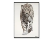 Репродукция картины на холсте Леопарды № 2, 2024г.