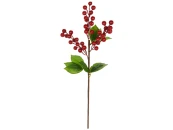 Ветка Red Berries