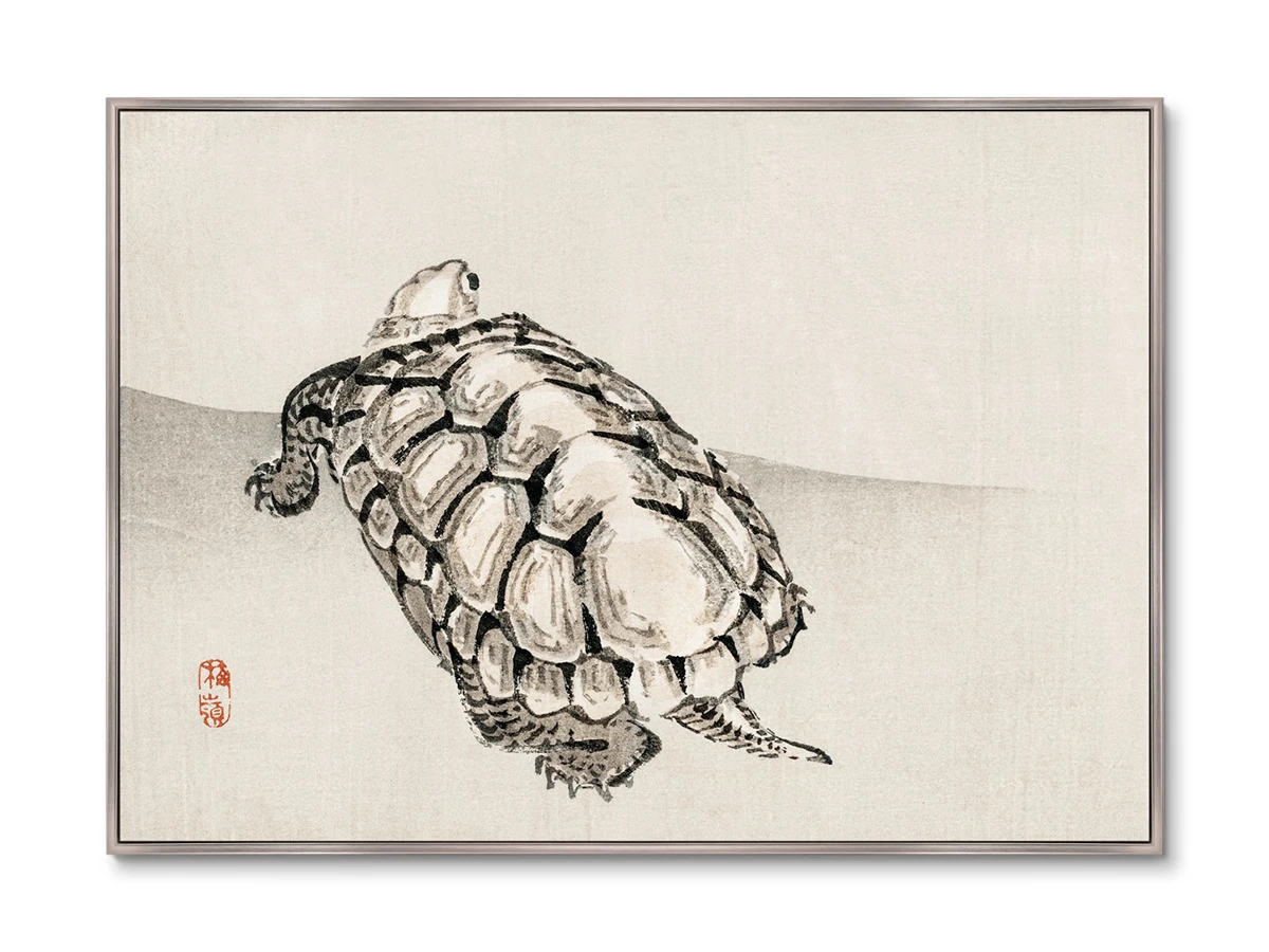 Репродукция картины на холсте Turtle, 1885г. 640360  - фото 1