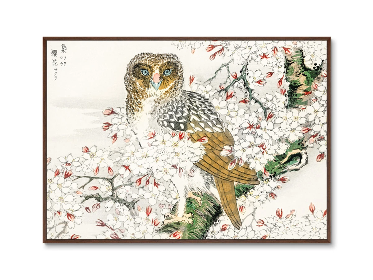 Репродукция картины на холсте Short-eared Owl and Cherry Flower, 1885г. 640371