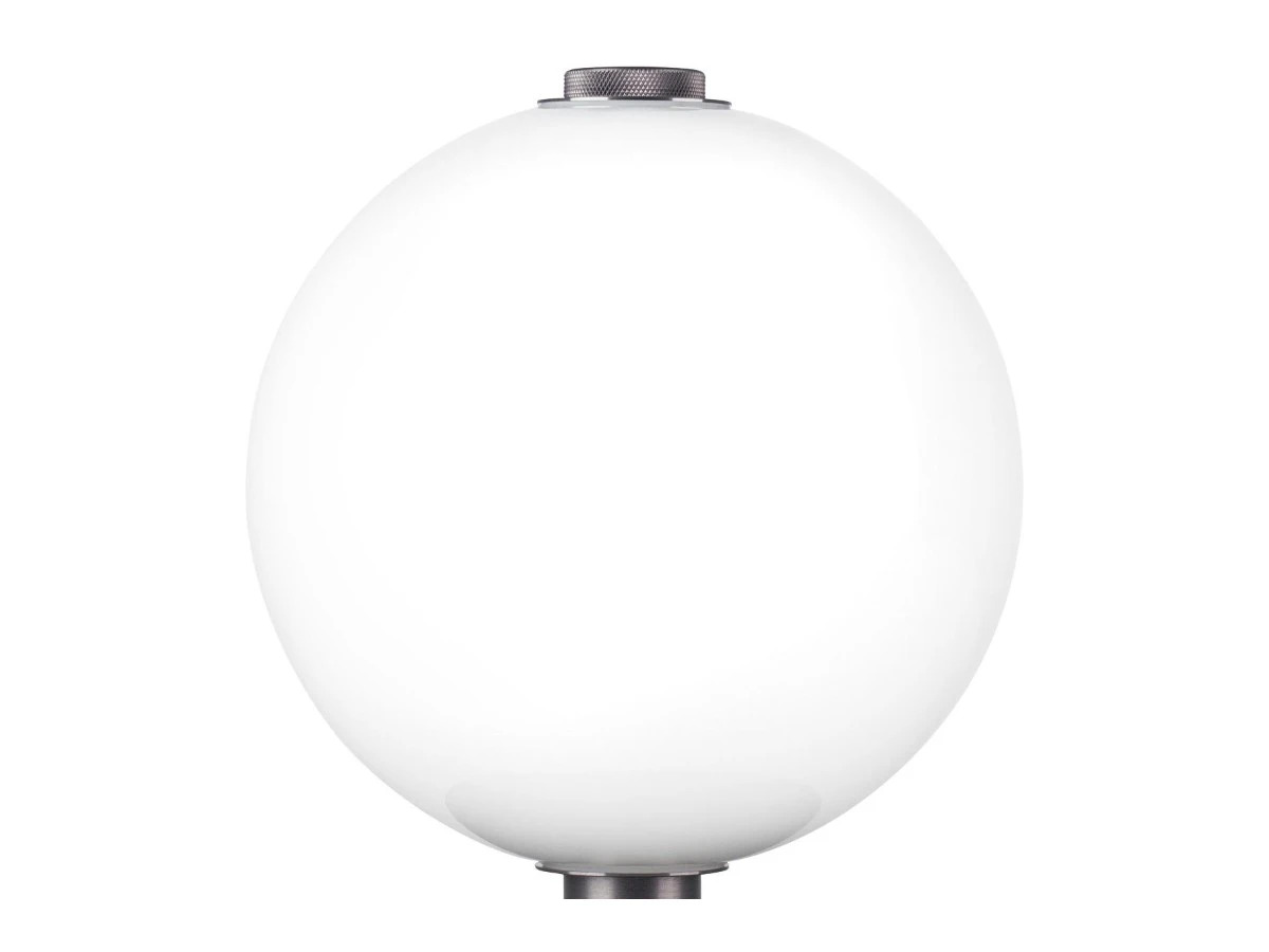 Настольная светодиодная лампа Lightstar Colore 934151  - фото 3