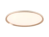 Потолочный cветильник LED4U